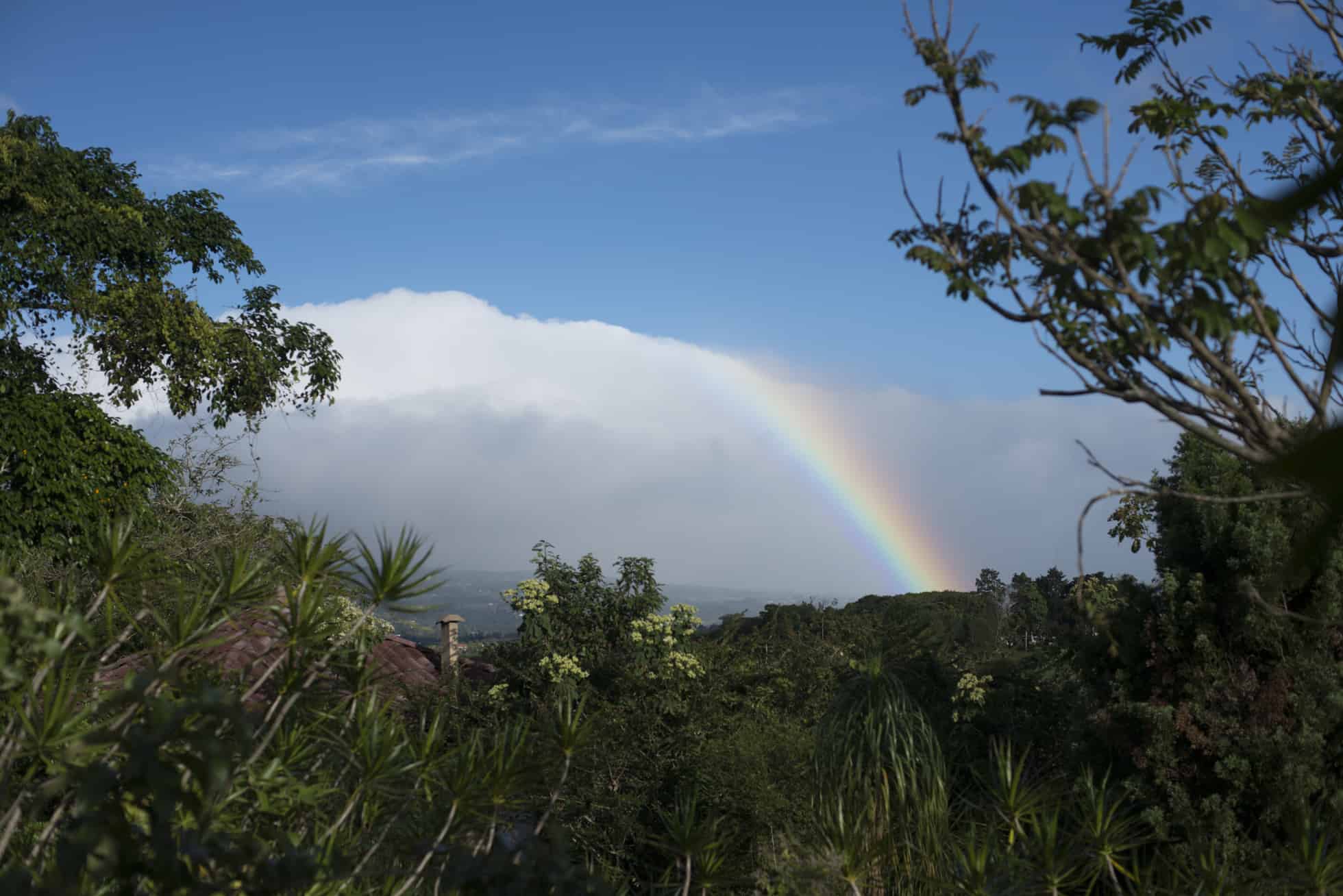 costa rica yoga retreat rainbows